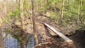 Stanton Park
