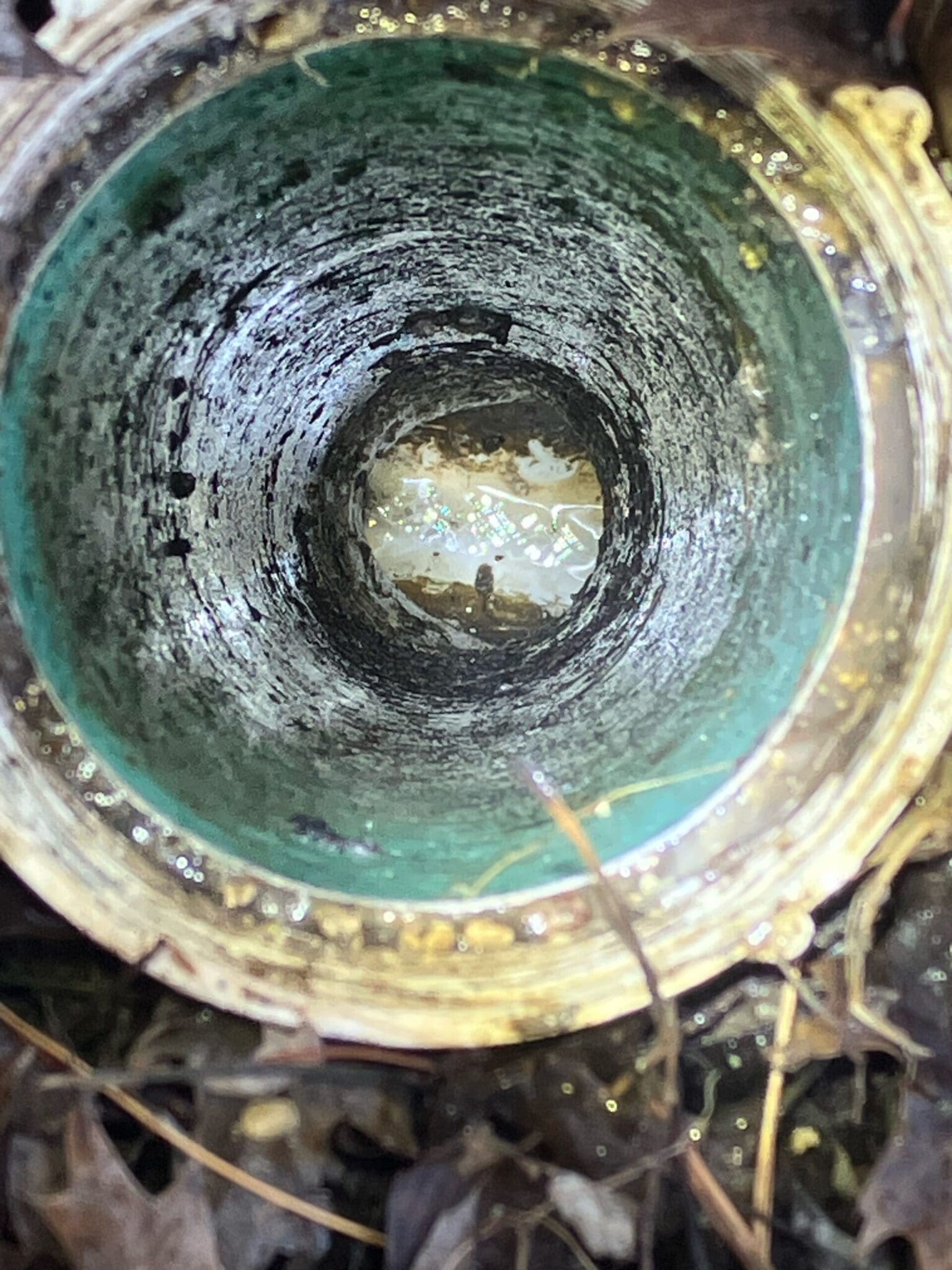 $79 Off Hydro Jetting